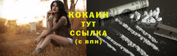 шишки Лагань